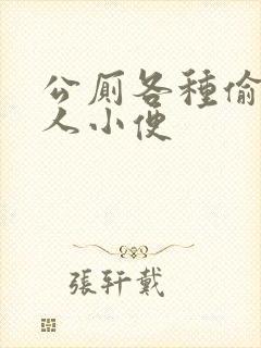 公厕各种偷拍女人小便封面