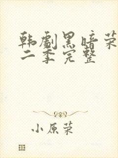 韩剧黑暗荣耀第二季完整封面