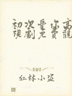 初次爱你高清电视剧免费观看