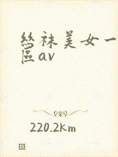 丝袜美女一区二区av
