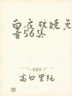 白夜破晓免费观看56集
