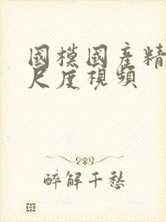 国模国产精品大尺度视频封面