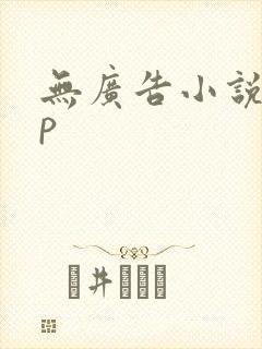 无广告小说app封面