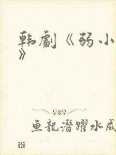 韩剧《弱小英雄》