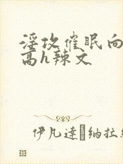 淫攻催眠向np高h辣文