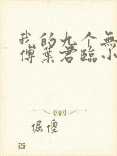 我的九个无敌师傅叶君临小说