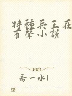 特种兵王在山村有声小说