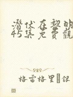 潜伏在黎明之前45集免费观看
