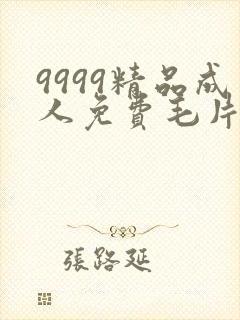 9999精品成人免费毛片在线看