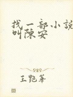 找一部小说主角叫陈安