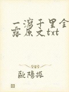 一泻千里金银花露原文txt封面