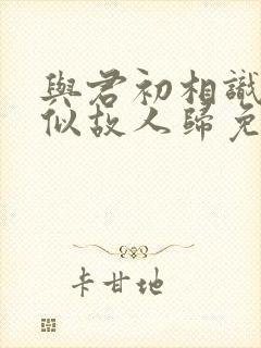 与君初相识,恰似故人归免费观看