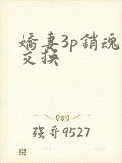 娇妻3p销魂的交换