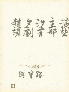 赵夕汐主演的电视剧有哪些