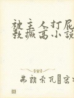 被主人打屁股调教撅高小说