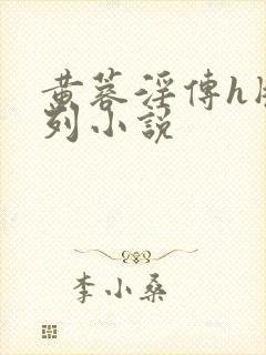 黄蓉淫传h版系列小说封面