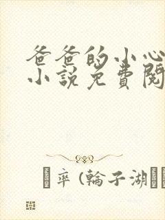 爸爸的小心肝儿小说免费阅读
