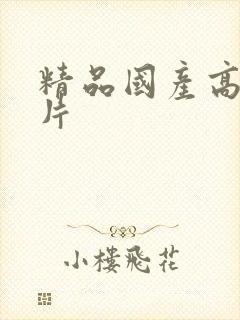 精品国产高清毛片