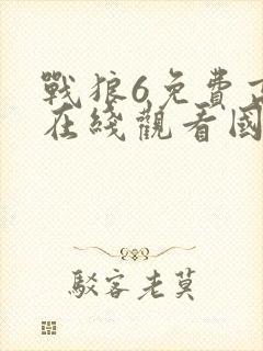 战狼6免费高清在线观看国语