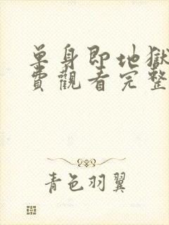 单身即地狱三免费观看完整版