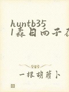 huntb351森日向子在线播放