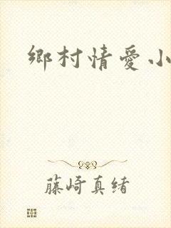 乡村情爱小说