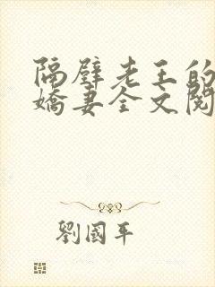 隔壁老王的新婚娇妻全文阅读封面