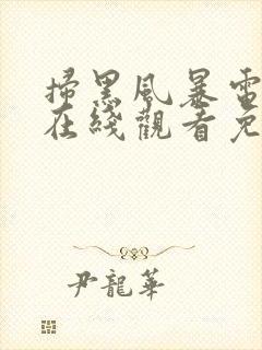 扫黑风暴电视剧在线观看免费25集