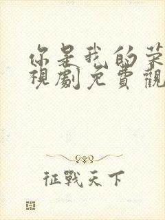 你是我的荣耀电视剧免费观看高清
