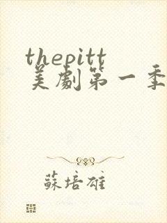 thepitt美剧第一季免费观看