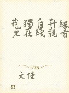 我独自升级漫画免在线观看封面