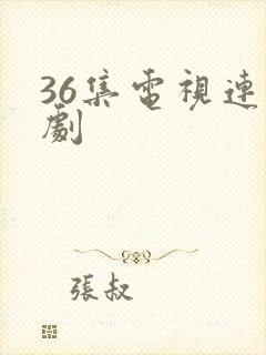36集电视连续剧