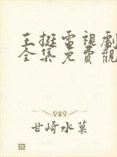 王挺电视剧战士全集免费观看