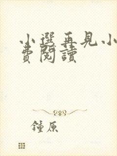小选再见小说免费阅读封面