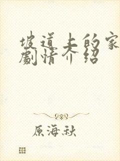 坡道上的家分集剧情介绍封面