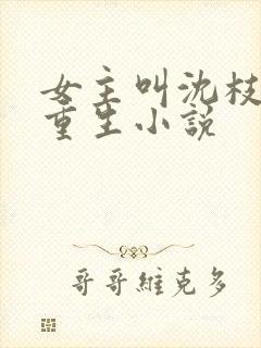 女主叫沈枝意的重生小说