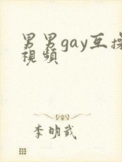 男男gay互操视频