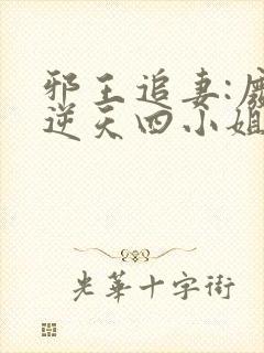 邪王追妻:废材逆天四小姐