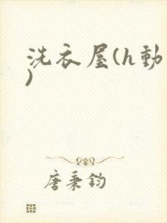洗衣屋(h动漫)
