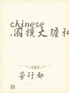 chinese,国模大胆私拍视频