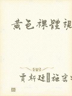黄色裸体视频.