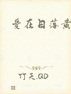 爱在日落黄昏时