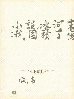 小说,冰河末世:我囤积了亿亿万物资