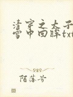 清穿之太子娇妃雪中回眸txt封面