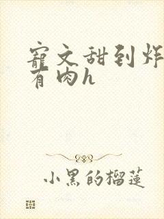 宠文甜到炸无虐有肉h