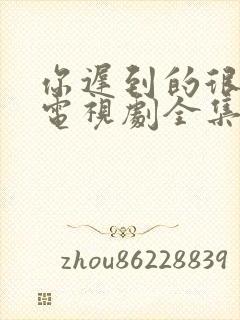 你迟到的很多年电视剧全集免费观看