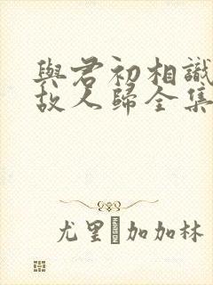 与君初相识恰似故人归全集免费看封面