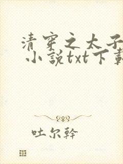 清穿之太子娇妃 小说txt下载