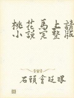 桃花马上请长缨小说完整版在线阅读