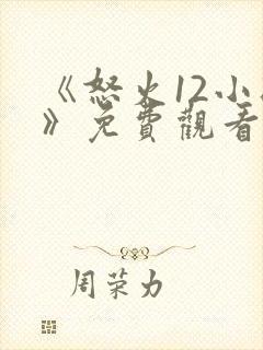 《怒火12小时》免费观看 完整封面